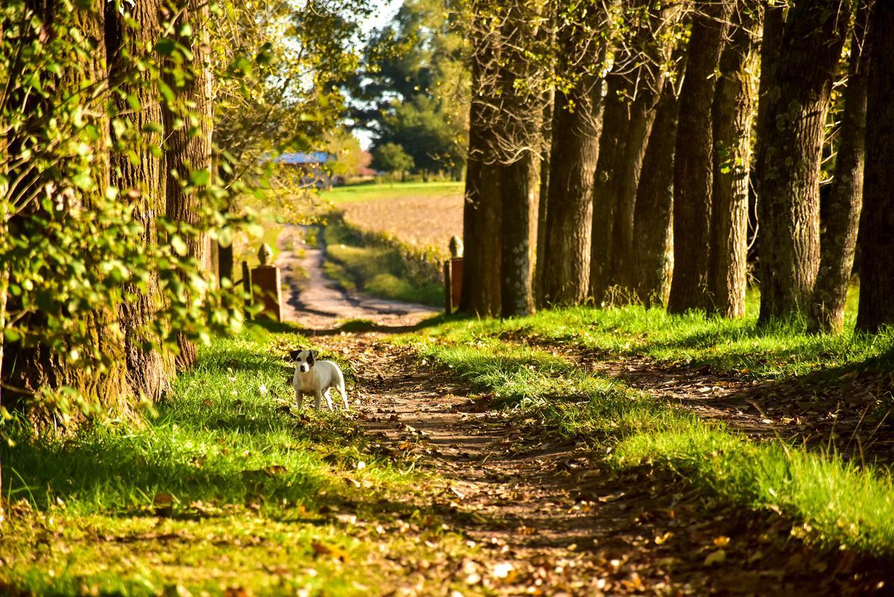 Los Vagones De Areco San Antonio de Areco Ngoại thất bức ảnh