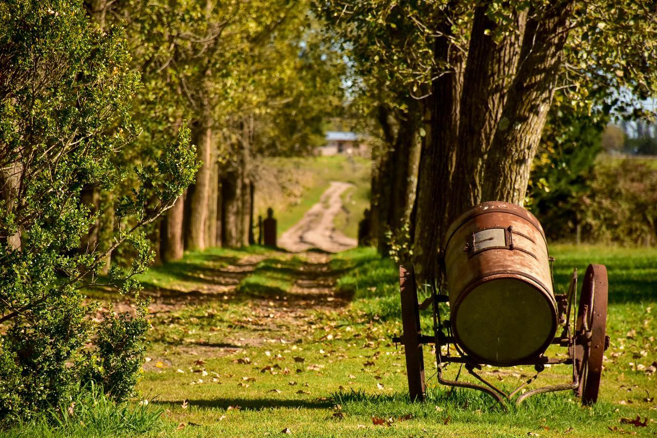 Los Vagones De Areco San Antonio de Areco Ngoại thất bức ảnh