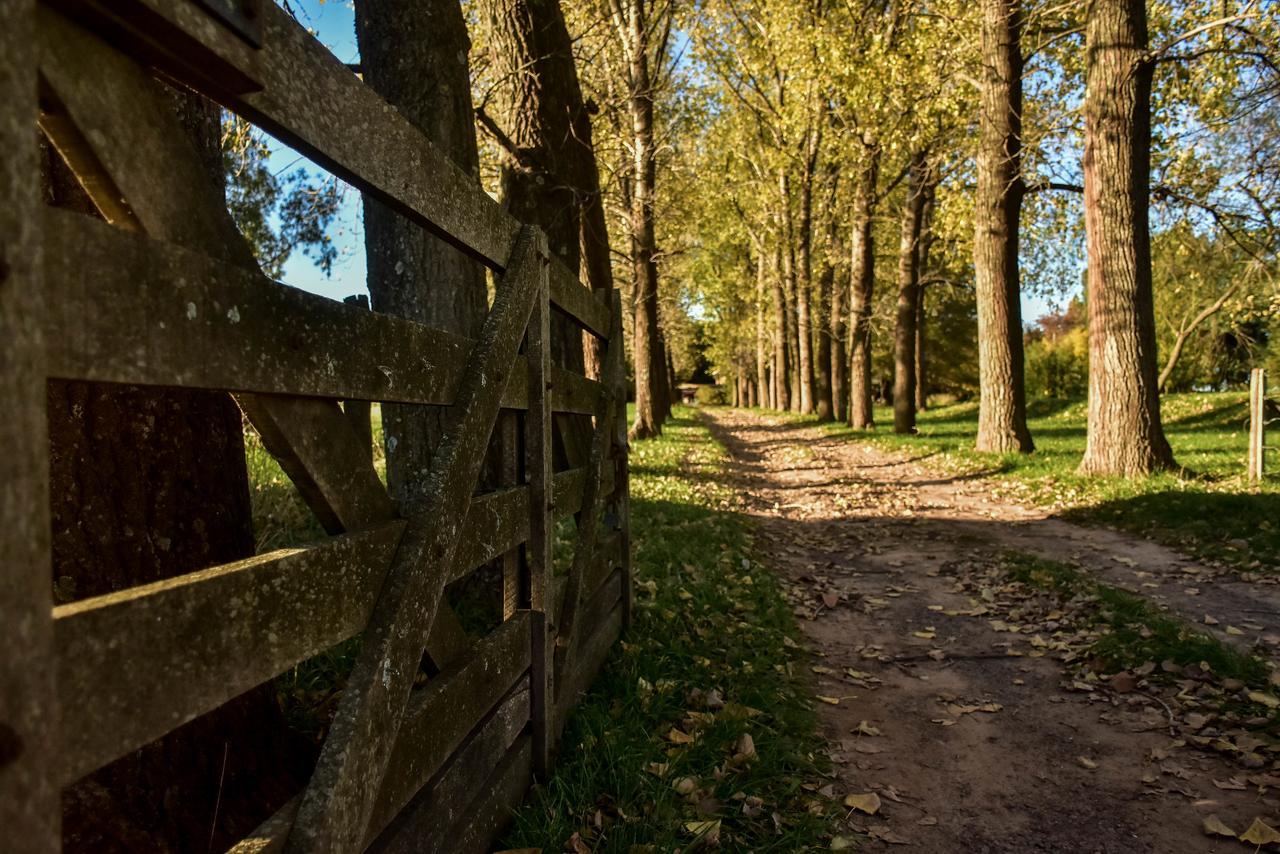 Los Vagones De Areco San Antonio de Areco Ngoại thất bức ảnh
